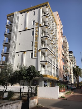 bayindir palme