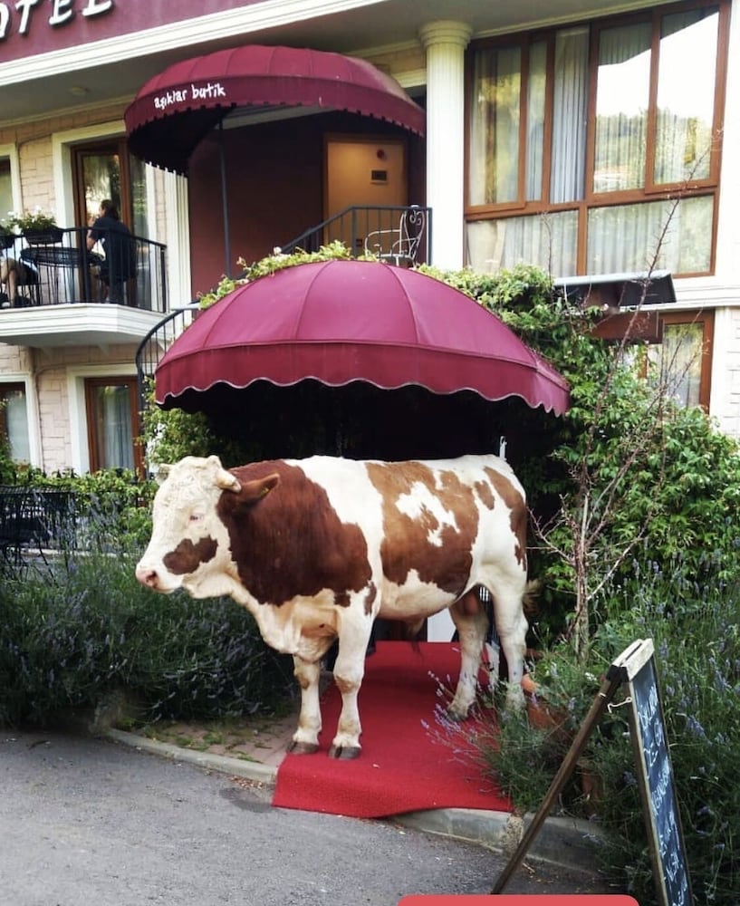 asiklar hotel by sukru