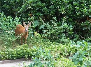 woudschoten hotel and conferentiecentrum