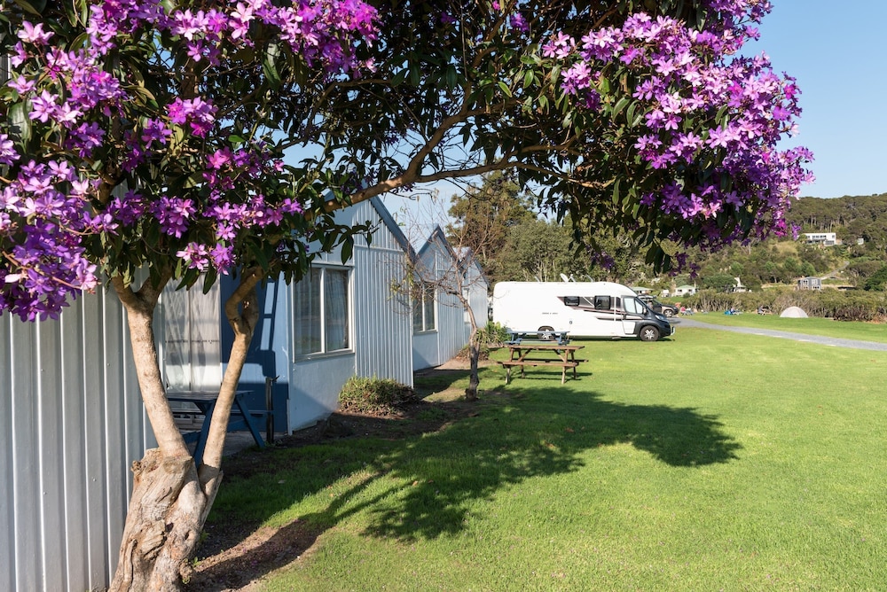 waitangi holiday park