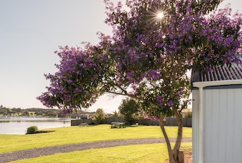 waitangi holiday park