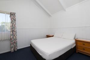 waitangi holiday park