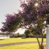 waitangi holiday park