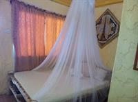 relaxing garden resort