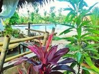 relaxing garden resort