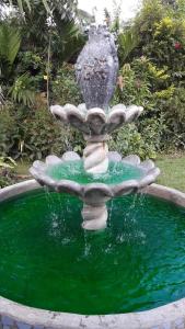 relaxing garden resort