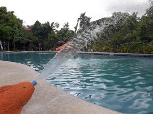 relaxing garden resort