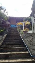 new ocean terrace beach resort