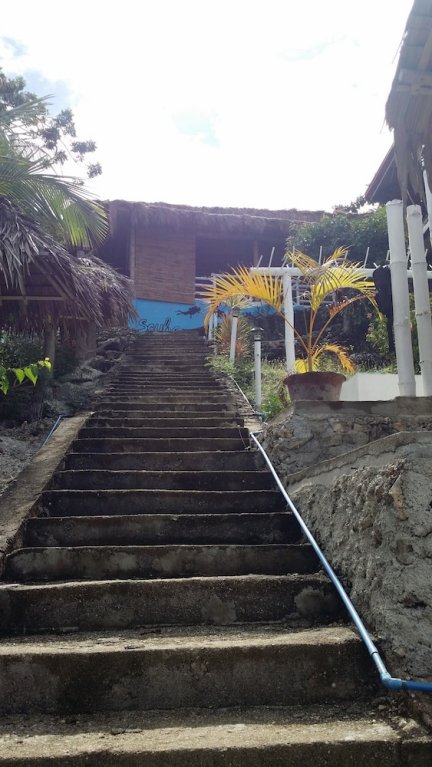 new ocean terrace beach resort