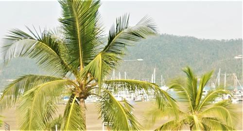 airlie seaview apartments