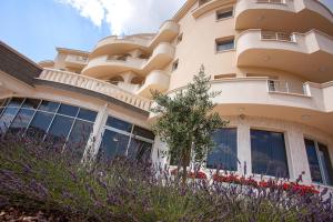 hotel jana
