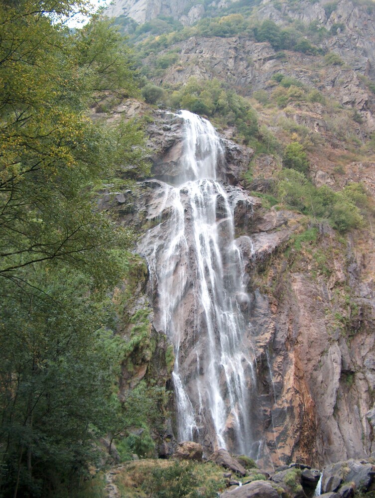 salvan