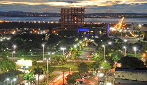 palmas