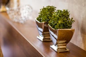 hotel restaurant hackmann atter