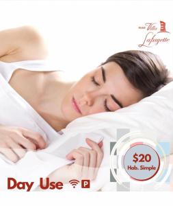 hotel villa lafayette