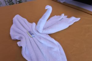 hotel el rancho sosua