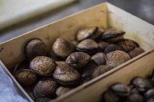 saintes maries de la mer