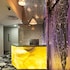 hotel clover 7