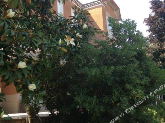 villa elisa m