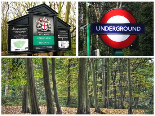 Roseview Alexandra Palace Hotel,Hampstead>>Greater London,3 star