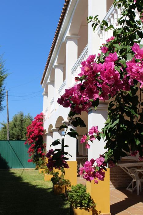 City-Image