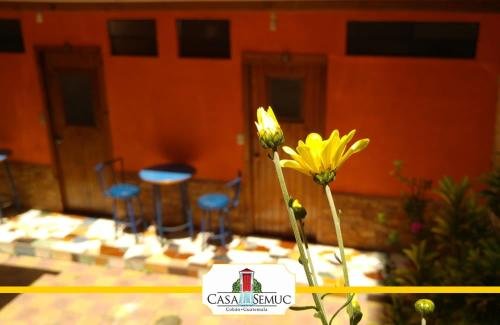 casa semuc