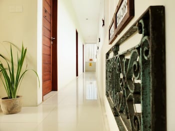 arana suite