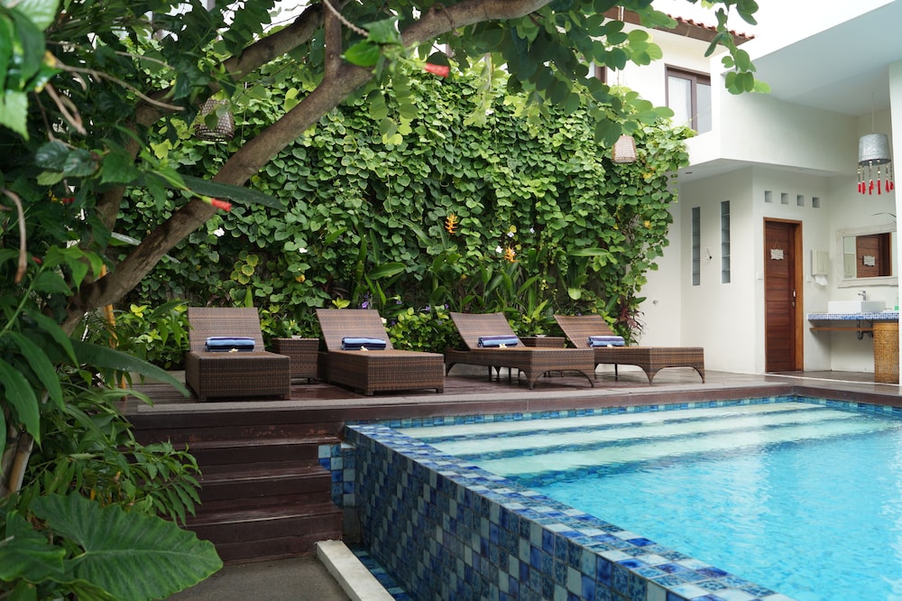 arana suite