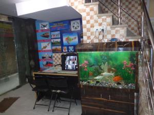 hotel darpan palace