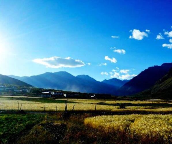kaza