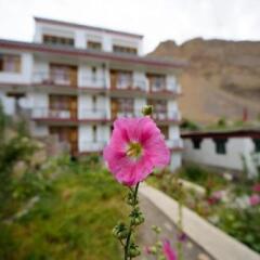 kaza