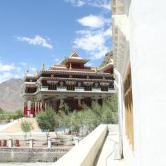 kaza