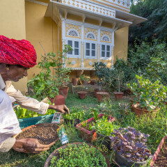 Dev Shree Deogarh,Devgarh>>Devgad,3 star