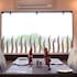 ashoka residency hotel