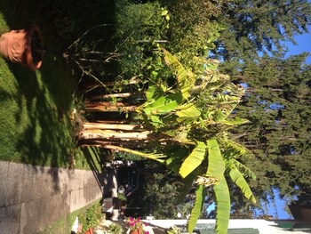 Hotel Villa Stella,Veneto>>Mestre,2 star