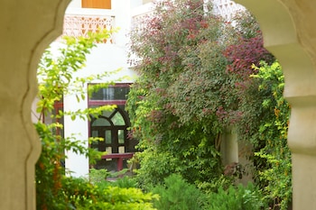 hotel radhika palace pushkar