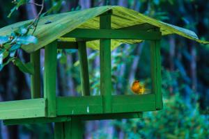 pousada chacara das acacias