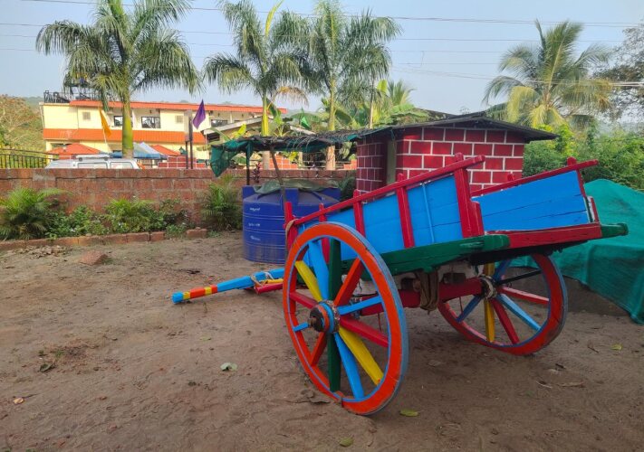 dapoli