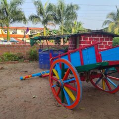 dapoli