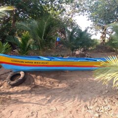 whistling waves beach resort