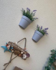 hotel baia di venere