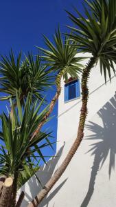 hotel san daniele