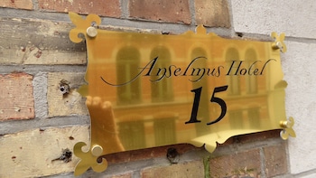 the black swan hotel