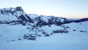 frutt mountain resort