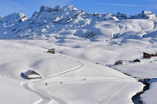 frutt mountain resort