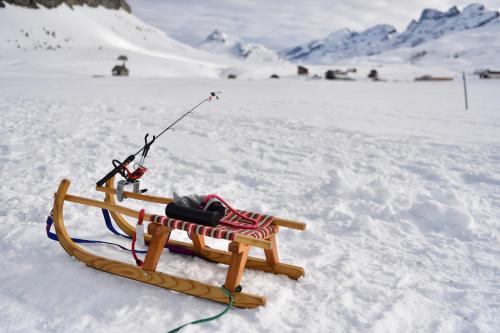 frutt mountain resort