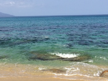 marine blue yakushima