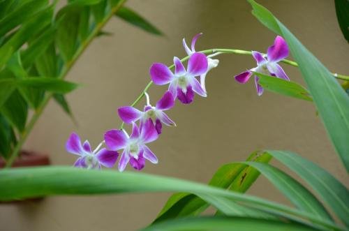 othashy airport hotel