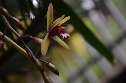 othashy airport hotel