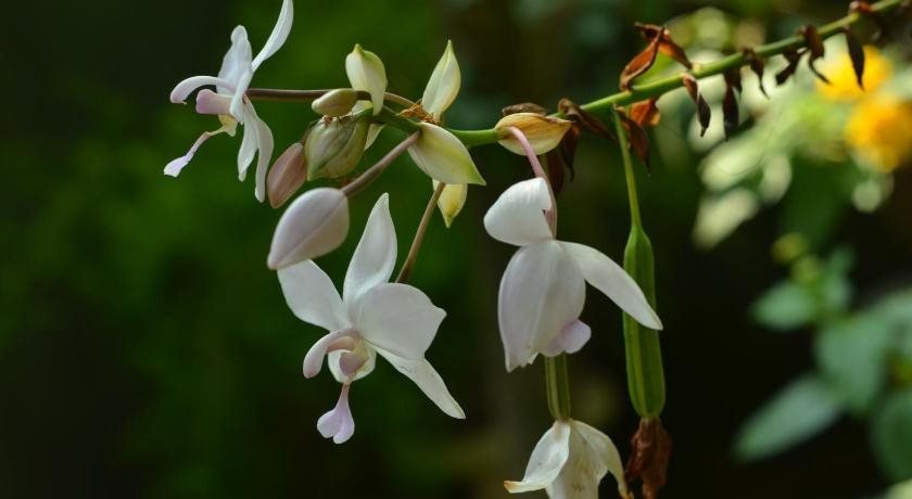 othashy airport hotel